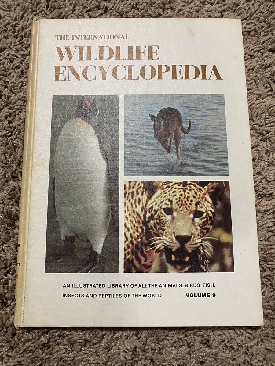 希少　洋書　1942年　古書　Animal Life Of The $_57.JPG?set_id=880000500F