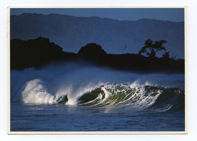 Waves Hawaiian Islands John Wagner Photograph Postcard