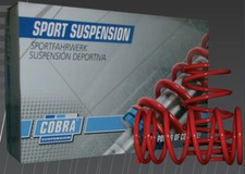 Ressort divers Peugeot 106