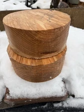 1 Pc.  Totally Unique Premium Bitternut Hickory 10x4” Precut Bowl Blank