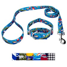 Country Brook Petz  Martingale Collar  Leash - Sports and Athletics Collection