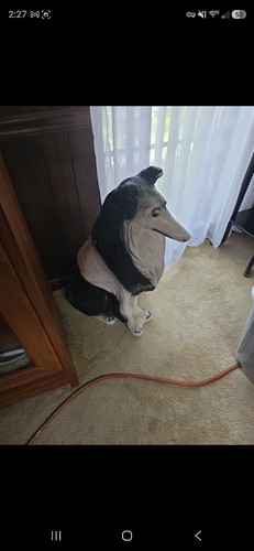 Ceramic life-size Rough Collie dog statue, 1960s