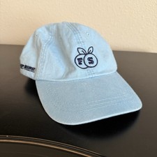 Adams Cool Crown Baseball Hat Unisex Adjustable light blue Flip Side Logo NWT