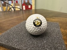Shaftesbury Glen Golf Fish Club Myrtle Beach Logo Golf Ball Wilson