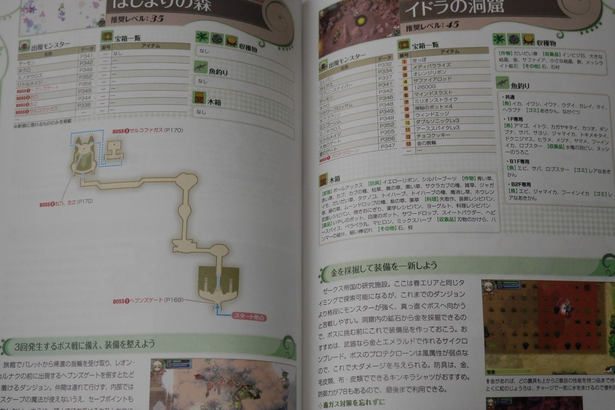 Rune Factory 4 – Guida Strategica Ufficiale Perfetta – Libro In Giapponese