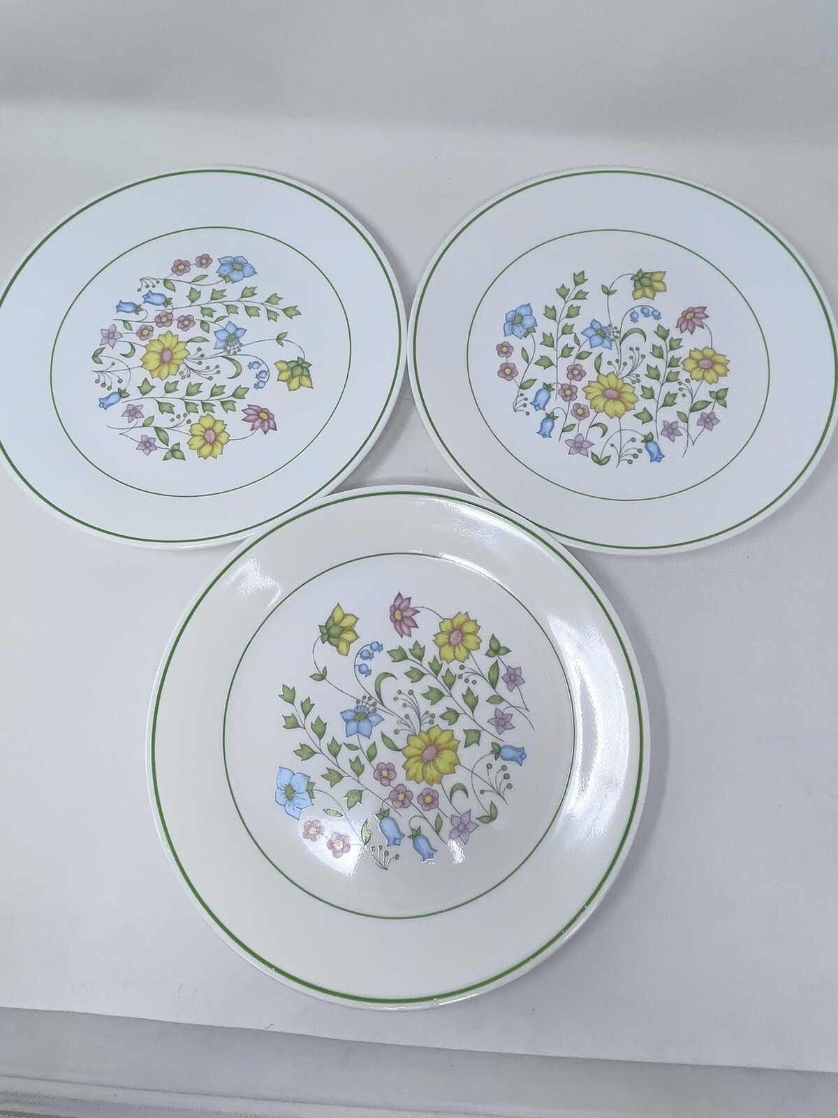 Corelle Meadow Dinner Plate 10-1/4" Green Trim Vitrelle