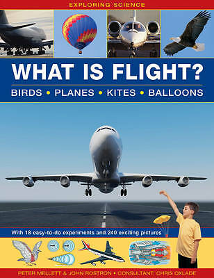 Wissenschaft erforschen: Was ist Fliegen?: Vögel, Flugzeuge, Drachen, Ballons; mit 18 einfachen