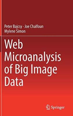 Web Microanalysis of Big Image Data by Peter Bajcsy (Hardcover)