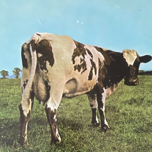 Pink Floyd – Atom Heart Mother LP Harvest Rock 12" 33 RPM SKAO 382