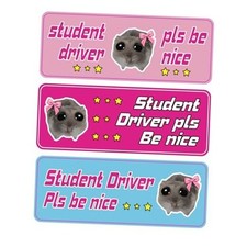 Student Driver Magnet for Car   Reflective 3-Pack Funny Please Be Patient
