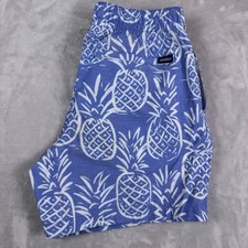 Chubbies Pineapple Print Swim Trunks 5.5 Inch Inseam Mesh Lined Mens Small Blue