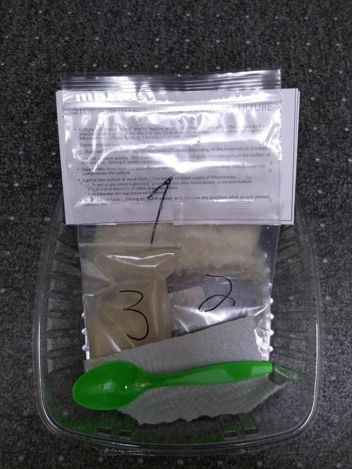 ¡Kits de súper alimentos para microgusanos! ¡¡Compra 1 Mega y obtén 2 kits de inicio GRATIS!! ¡KITS MICROWORM! Foto 2 de 4