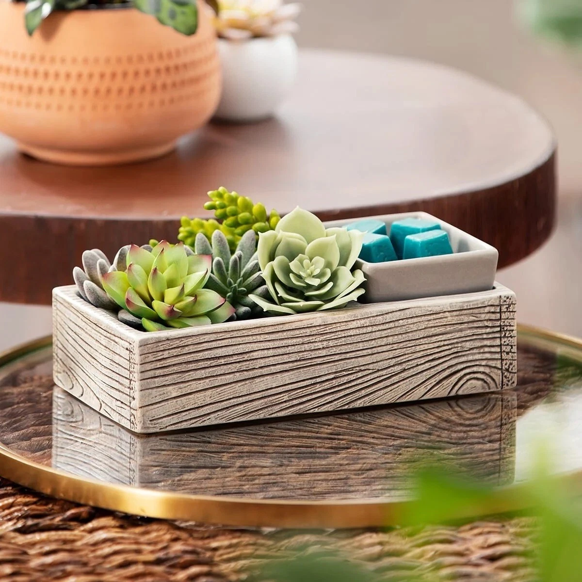 ArtScents Succulent Wax Warmer