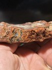 Agatized Piece Of Petrified Wood Lot A2 — photo 3