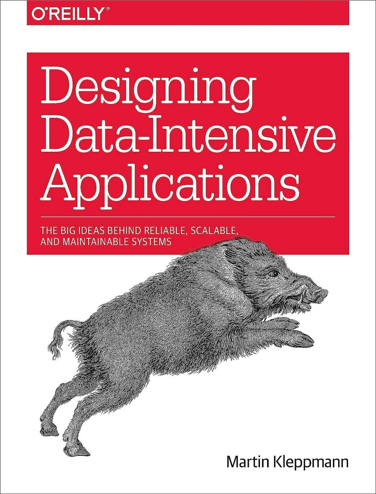 Designing Data-Intensive Applications Paperback