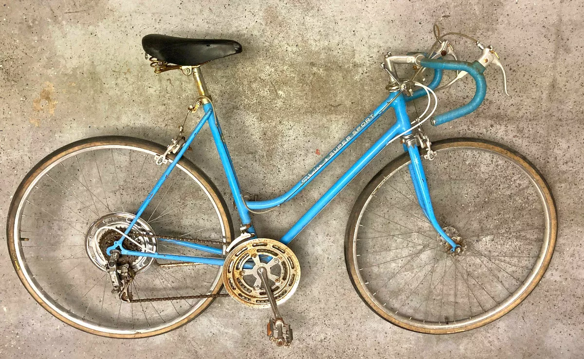 Ebay schwinn 2025