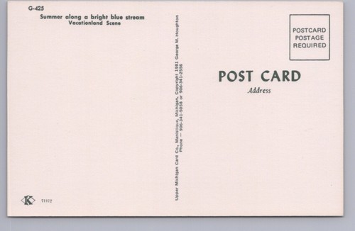 Summer Along A Bright Blue Stream, Somewhere, USA, Vintage Chrome Postcard - Picture 2 of 2