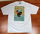 Foto 9 di 10