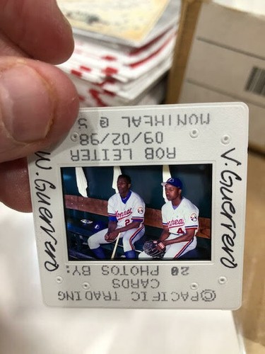 10 EA. 1998 PACIFIC TRADING Vladimir Guerrero Montreal Expos SLIDE NEGATIVE 1/1 - Picture 3 of 10