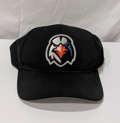 Minor League Baseball Aberdeen Ironbirds Black EMBROIDERED Snapback Hat (A23)