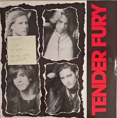 Tender Fury Self Titled Vinyl Record EX/VG D1-74777 1988