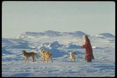 310005 Inuit Mädchen mit ihrem Team Pelly Bay A4 Fotodruck