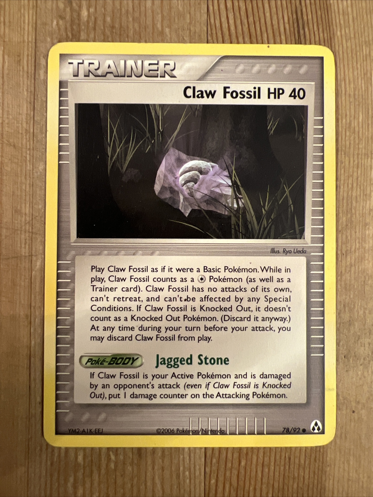 Claw Fossil