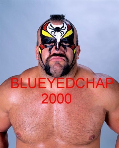 ROAD WARRIOR ANIMAL WRESTLER 8 X 10 WRESTLING PHOTO WWF NWA