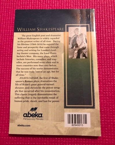 Abeka The Scarlet Letter & Julius Caesar Homeschool Classic Literature Books - Picture 7 of 18