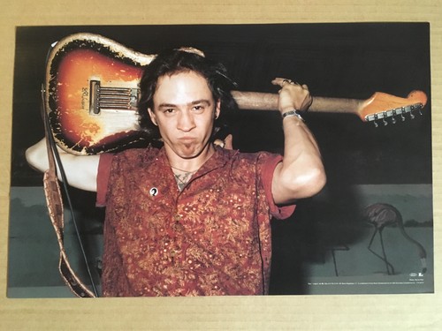 STEVIE RAY VAUGHAN 2002 PROMO LITHOGRAPHIE POSTER für Essential CD NEUWERTIG USA