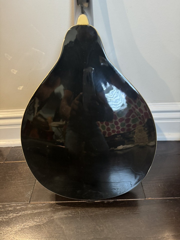 Santa Rosa Mandolin Model No Mand31 Acoustic- 8 strings | eBay