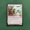 Leonin Surveyor Aetherdrift Foil