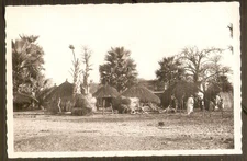 SENEGAL (AOF)   carte  postale  photo cpa  Village Sénégalais / 1952