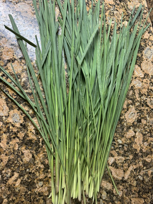 8 OZ FRESHLY cut Lemon Grass leaves Organic From florida,