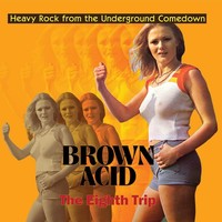 Various Artists Brown Acid: The Eighth Trip (Cd) Album