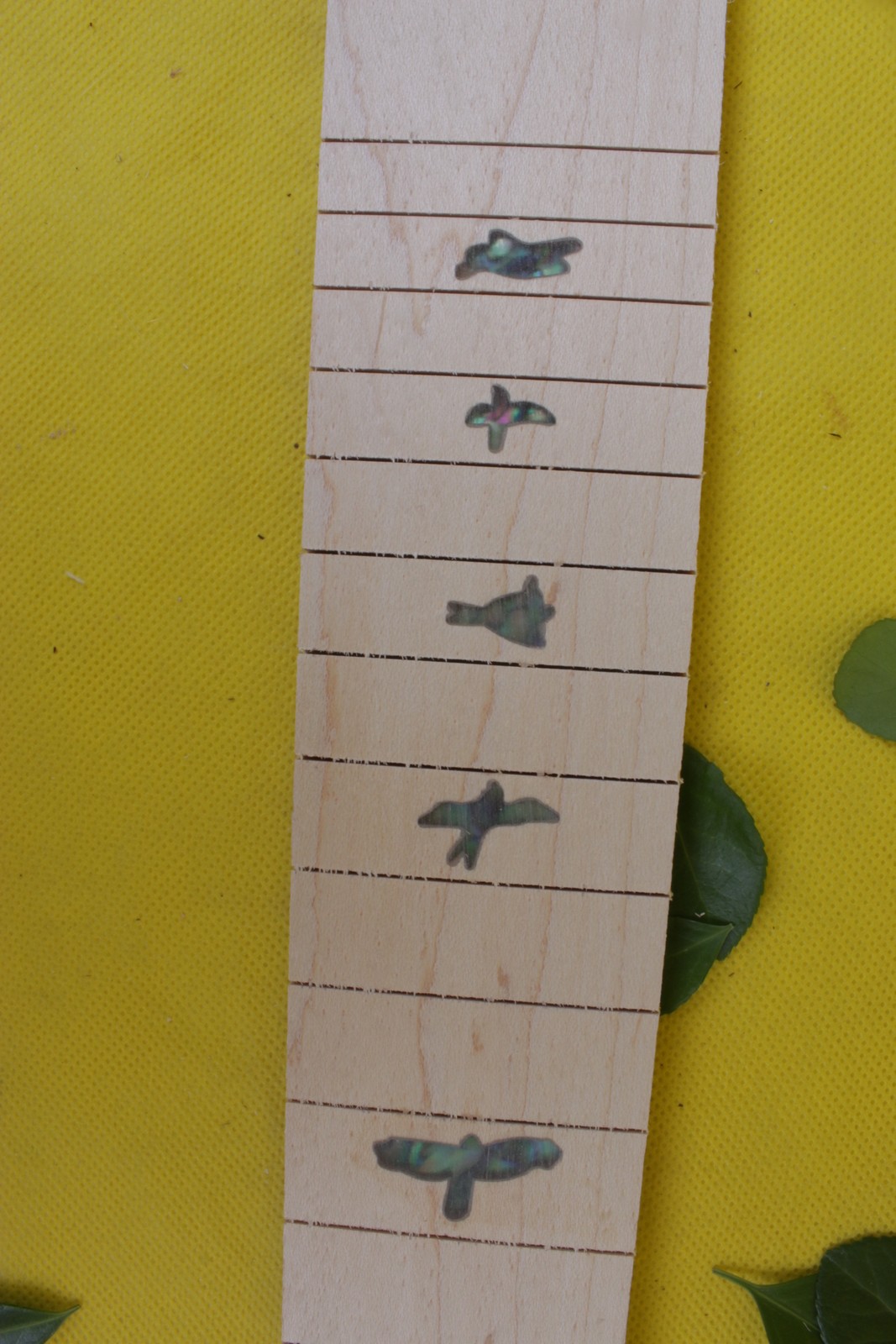 Picture 5 of 5