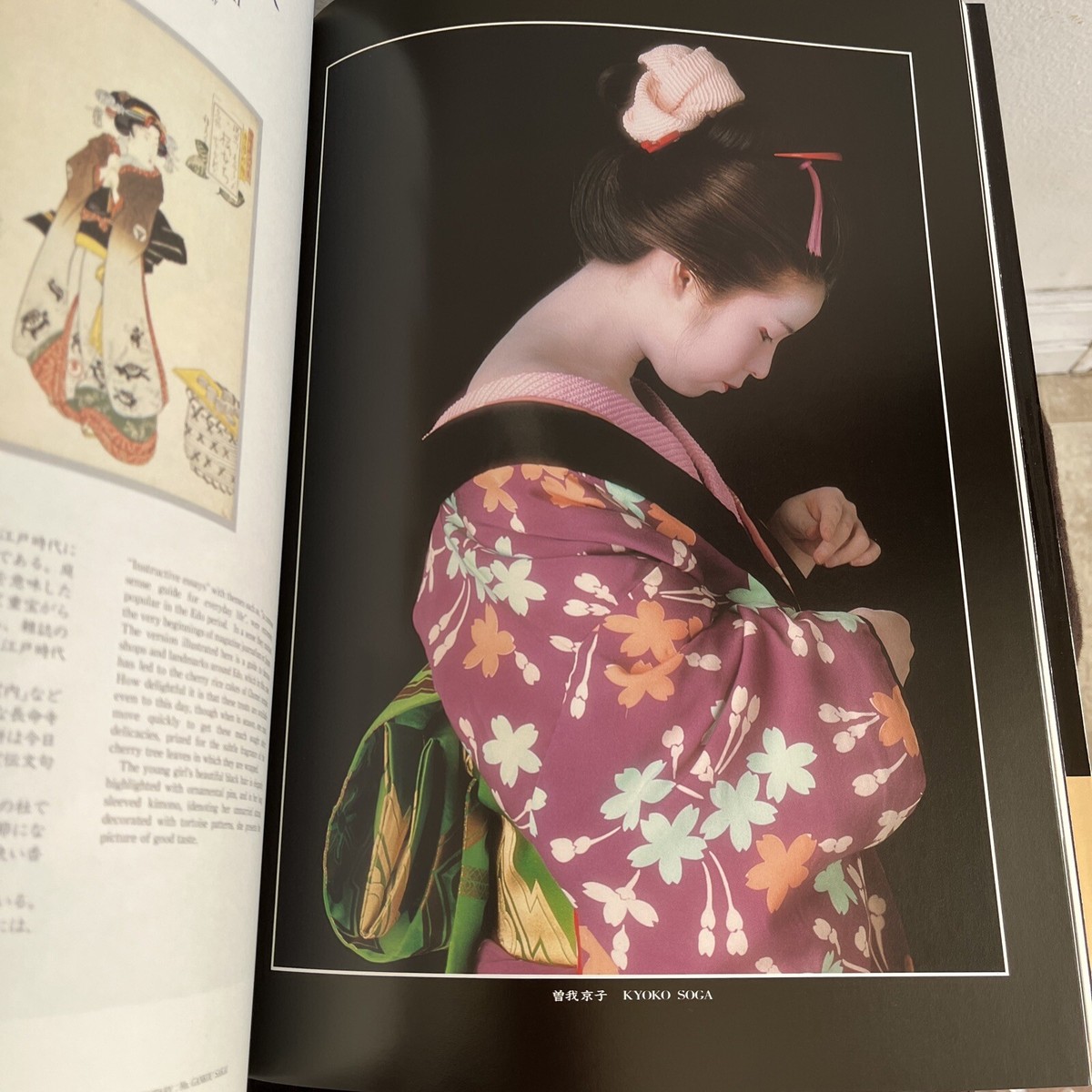 Ukiyoe Kuzushi Vol. 2. Text by Giichi Fujimoto. Hoshino Ukiyoe Kuzushi Vol. 2. Text by Giichi Fujimoto. Hoshino