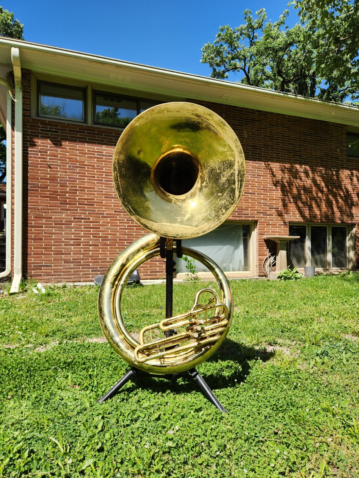 Conn Sousaphone eBay