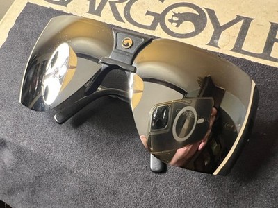 Gargoyles Sunglasses Terminator Arnold Schwarzenegger Dale