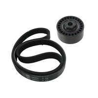 SKF Keilrippenriemensatz Vkma 36059