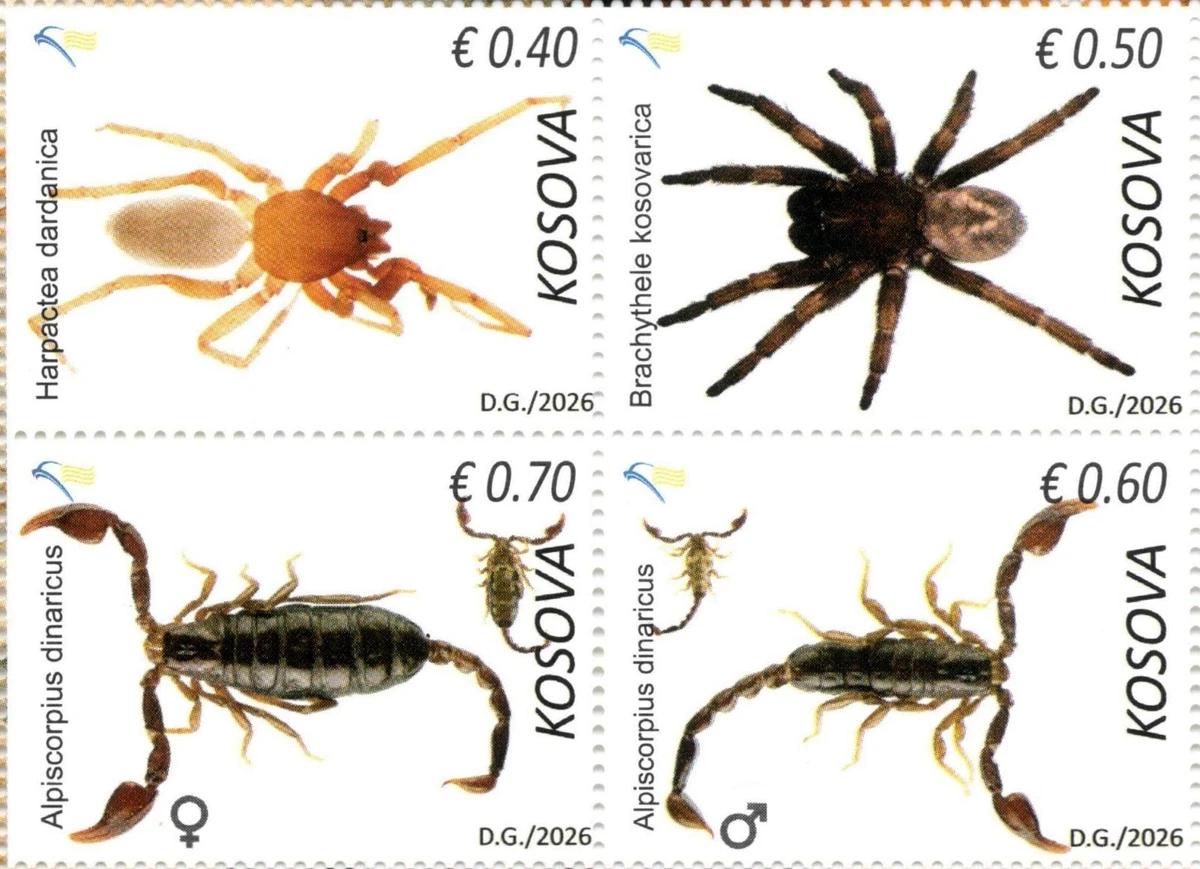 Prophila Collection Lote De 10 Sellos De Insectos En Bloque – Motivos Variados De Invertebrados, Para Coleccionistas, De Alta Calidad