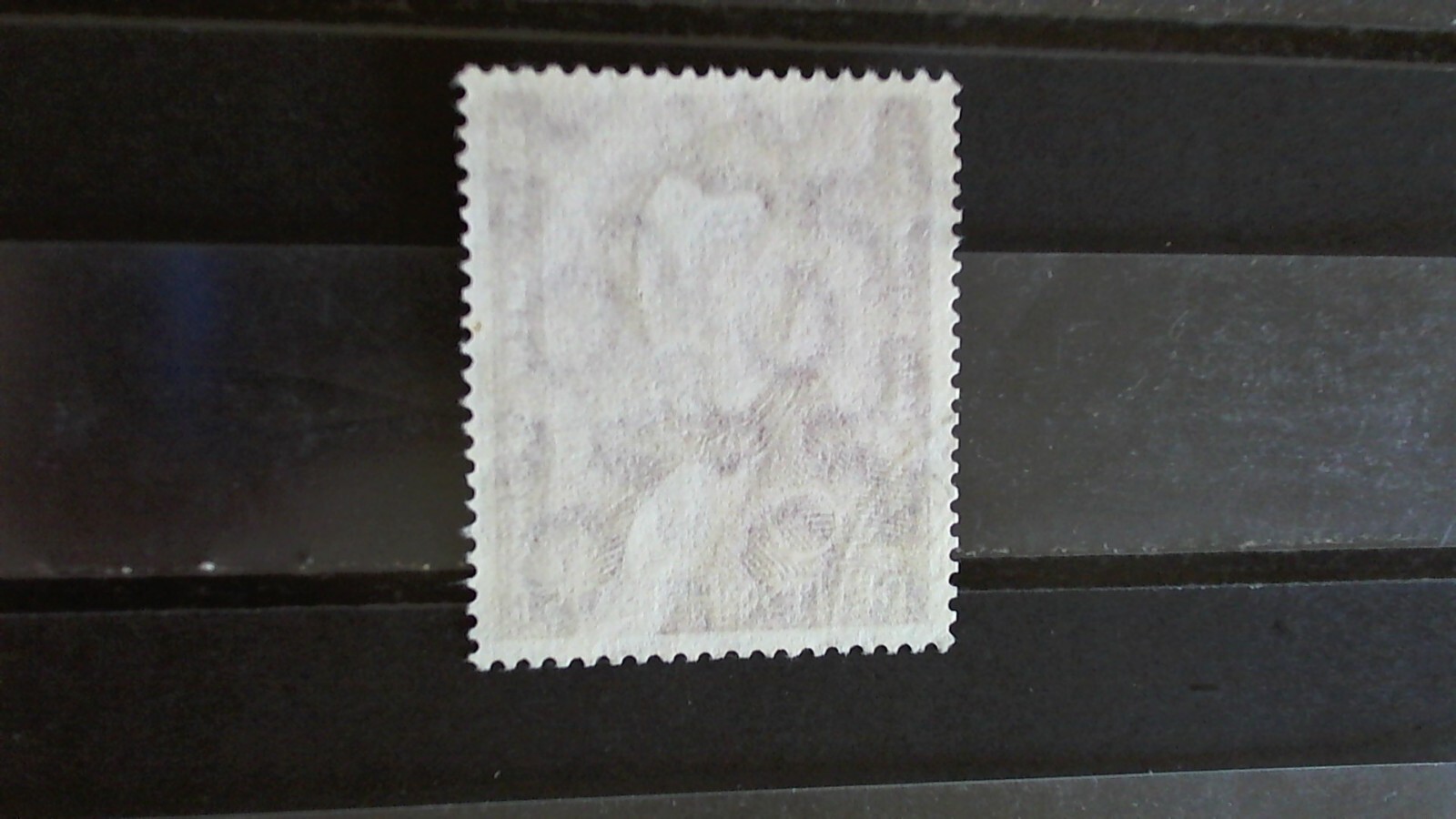 Bild 2 von 3