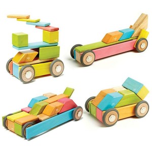 tegu car
