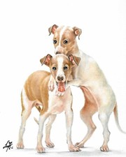 ✤ ORIGINAL Oil Portrait Painting ITALIAN GREYHOUND Artist Signed Puppy Dog Art