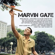 Icon: Marvin Gaye