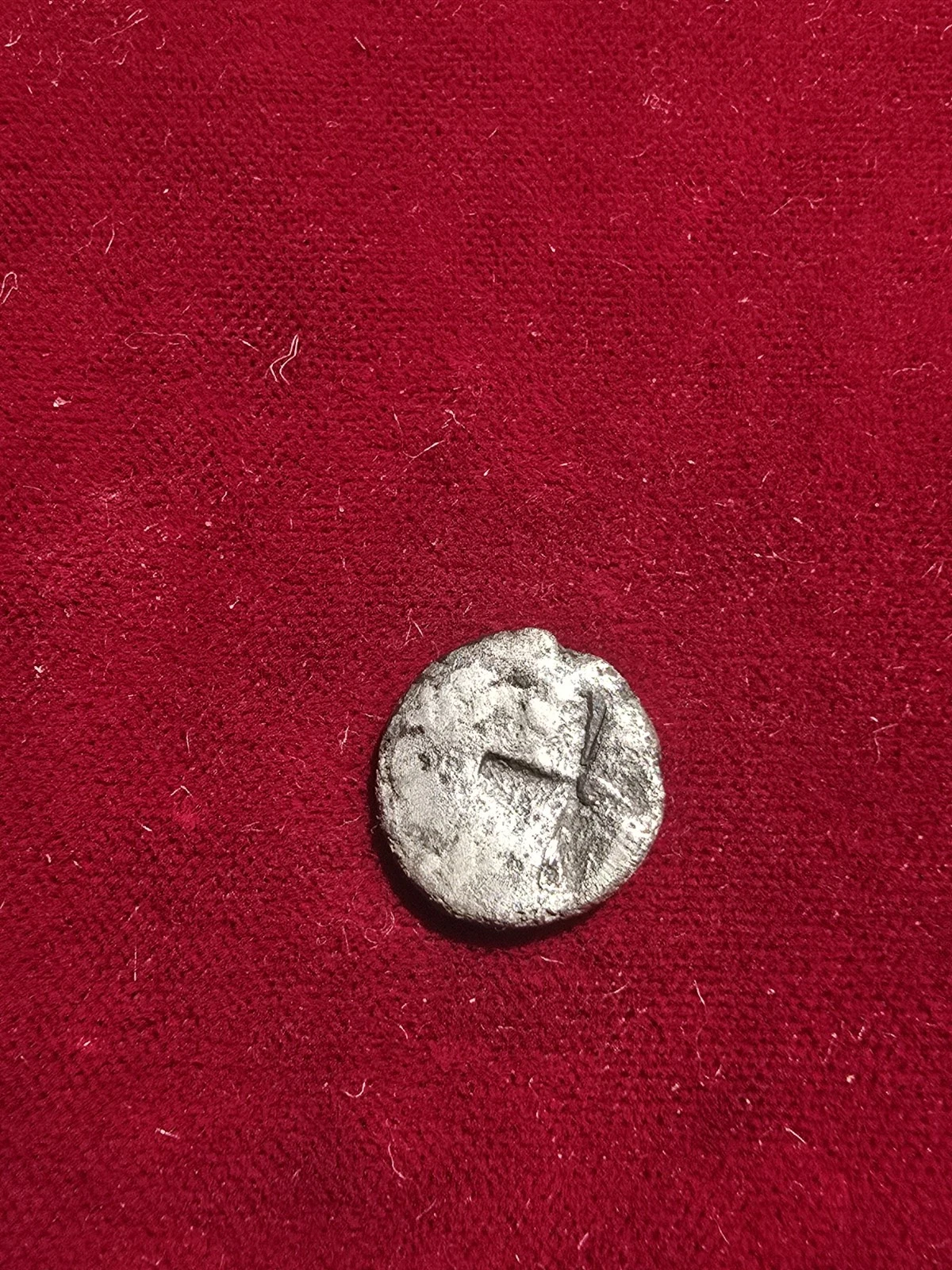 Picture 4 of 4