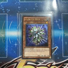 Stbl Glow Up Bulb English Version 1St Relief Yu-Gi-Oh!