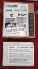 Image of Epson Ink Cartridge 80 ml, Light Black, Genuine (packaging damaged)