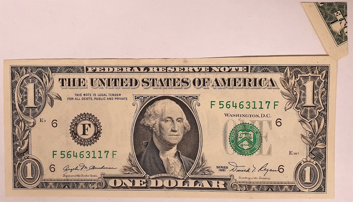 【美品 １冊だけ】A currency options primer 美品 1冊だけ】A currency options primer