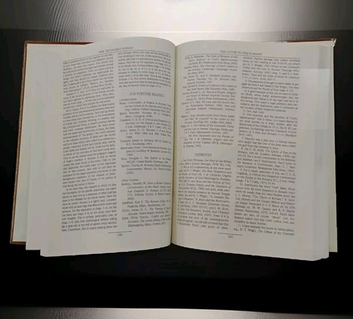 The New Interpreters Bible New Testament Survey Abingdon Press 2005 Hardcover - Imagen 3 de 6